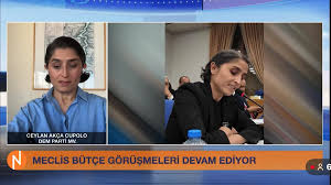 “Hangi bakanlığın bütçesini incelesek bir savaş alt başlığı var”