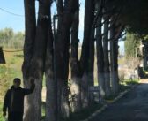 Vicdani Retçi İnan Mayıs Aru’ya Önce Hapis, Ardından Tahliye