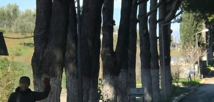 Vicdani Retçi İnan Mayıs Aru’ya Önce Hapis, Ardından Tahliye