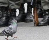 Anayasa Mahkemesinin önünde 30’dan fazla vicdani ret başvurusu yıllardır bekliyor – Şendoğan Yazıcı